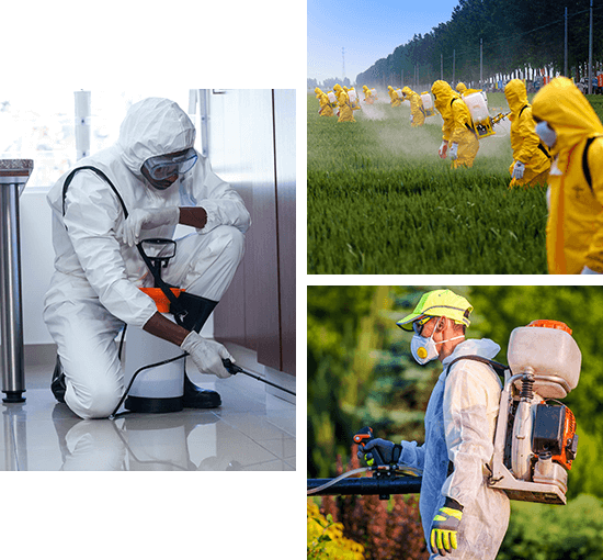 فني مكافحة حشرات يقوم بالرش داخل غرفة النوم